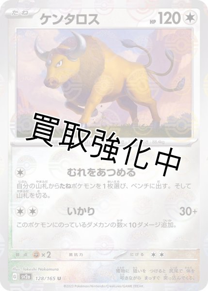 画像1: ケンタロス（ミラー）【C】(128/165) (1)