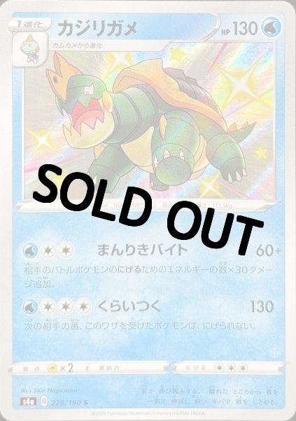 画像1: カジリガメ【S】{228/190} [s4a] (1)