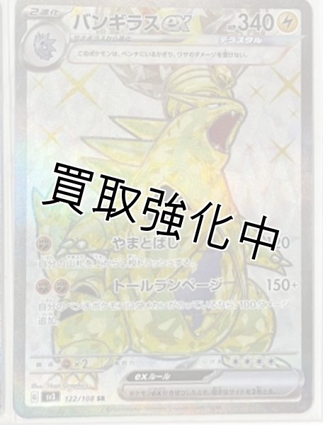 画像1: バンギラスex【SR】（122/108） (1)