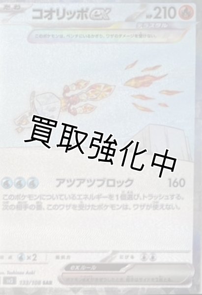 画像1: コオリッポ【SAR】（133/108） (1)