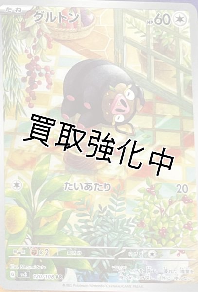 画像1: グルトン【AR】（120/108） (1)