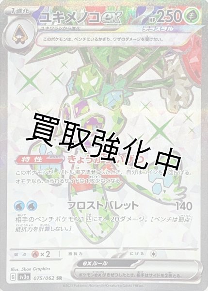 画像1: ユキメノコex【SR】(075/062) (1)
