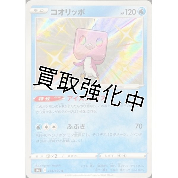 画像1: コオリッポ【S】{234/190} [s4a] (1)