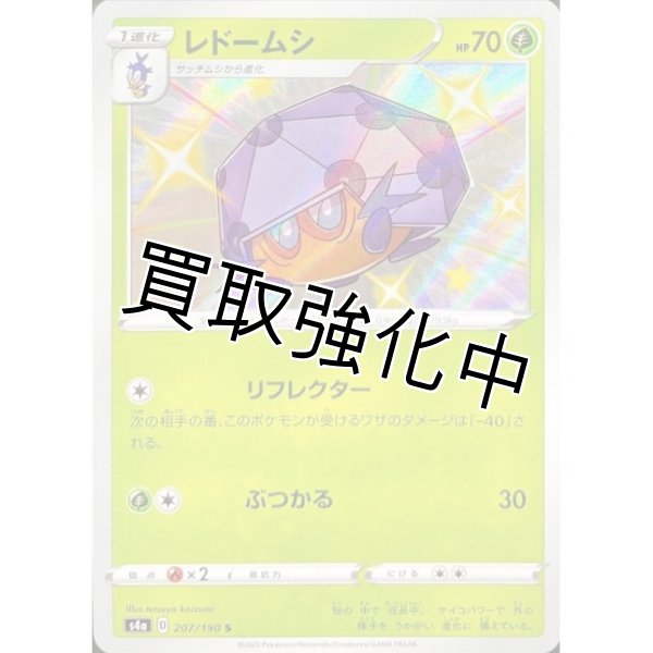 画像1: レドームシ【S】{207/190} [s4a] (1)