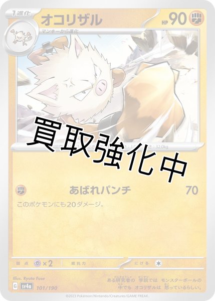 画像1: オコリザル{101/190}[ｓｖ4a] (1)