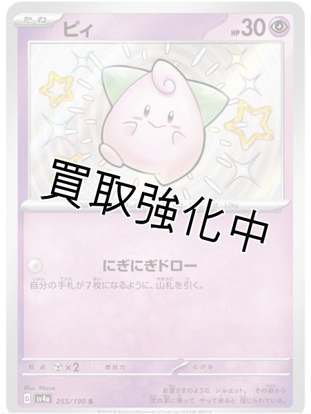 画像1: 【色違い】ピィ【S】｛255/190｝［sv4a］ (1)