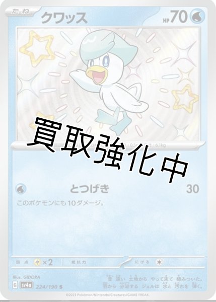 画像1: 【色違い】クワッス【S】｛224/190｝［sv4a］ (1)