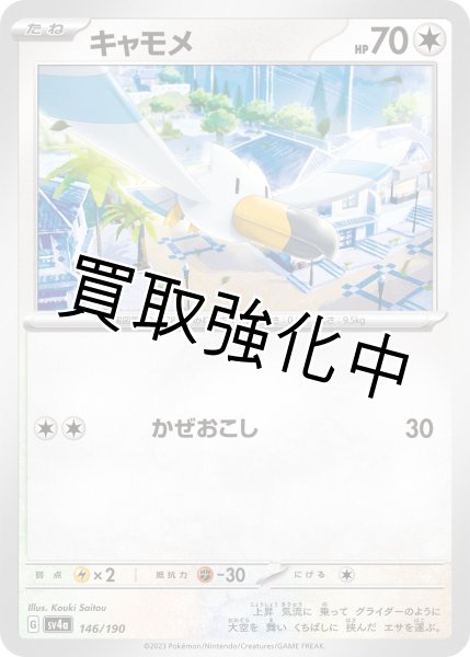 画像1: キャモメ｛146/190｝[sv4a] (1)