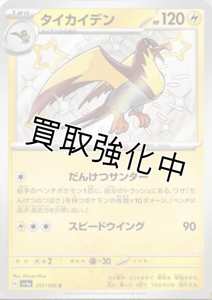 画像1: 【色違い】タイカイデン【S】｛251/190｝［sv4a］ (1)