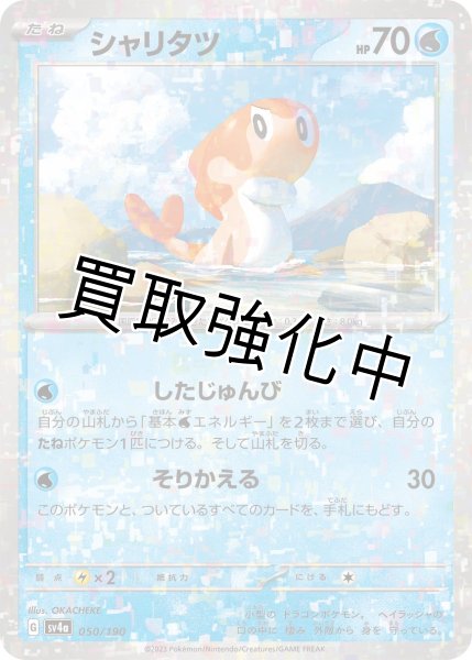 画像1: 〔ミラー仕様〕シャリタツ{050/190}[ｓｖ4a] (1)