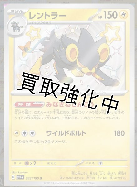 画像1: 【色違い】レントラー【S】｛242/190｝［sv4a］ (1)