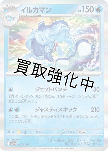 画像1: イルカマン{047/190}[ｓｖ4a] (1)