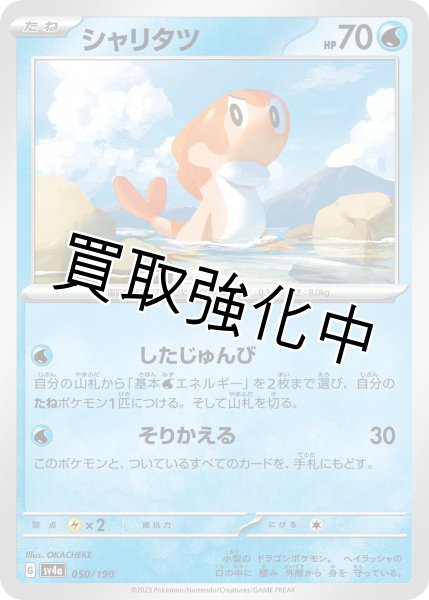 画像1: シャリタツ{050/190}[ｓｖ4a] (1)