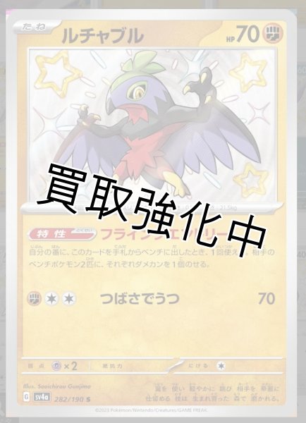 画像1: 【色違い】ルチャブル【S】｛282/190｝［sv4a］ (1)