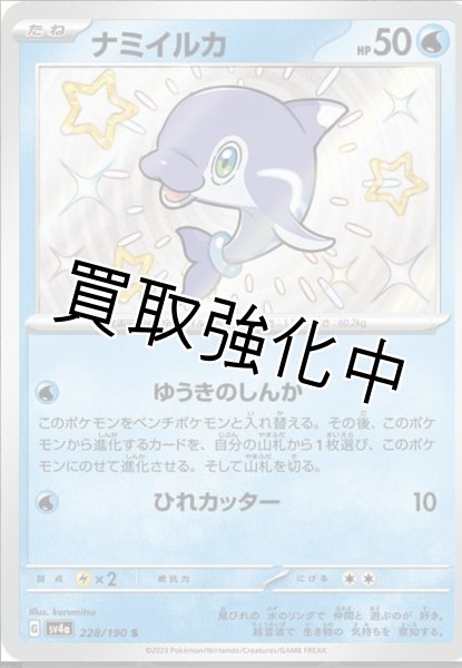 画像1: 【色違い】ナミイルカ【S】｛228/190｝［sv4a］ (1)