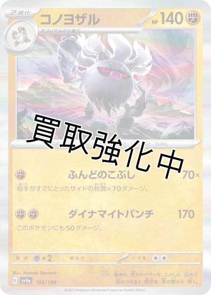 画像1: コノヨザル{102/190}[ｓｖ4a] (1)