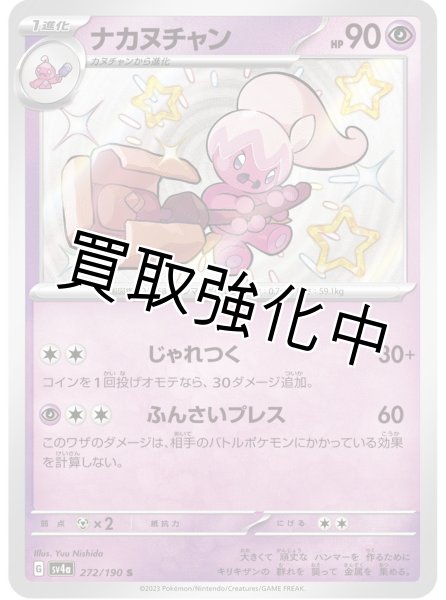 画像1: 【色違い】ナカヌチャン【S】｛272/190｝［sv4a］ (1)