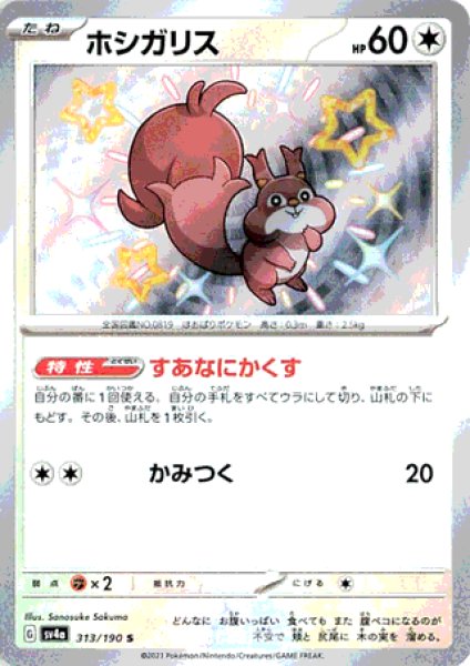 画像1: 【色違い】ホシガリス  【S】｛313/190｝［sv4a］ (1)