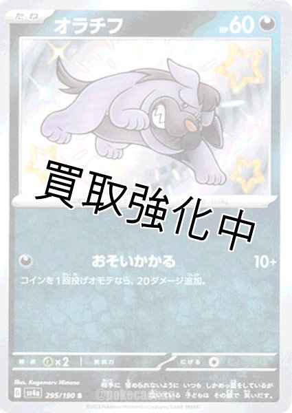 画像1: 【色違い】 オラチフ 【S】｛295/190｝［sv4a］ (1)