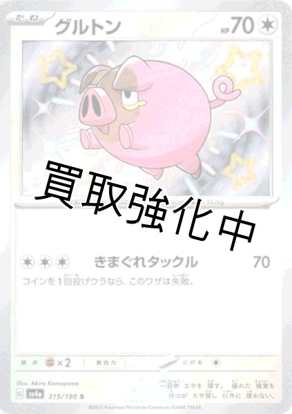 画像1: 【色違い】グルトン  【S】｛315/190｝［sv4a］ (1)