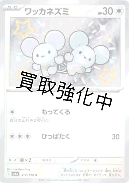 画像1: 【色違い】 ワッカネズミ 【S】｛317/190｝［sv4a］ (1)