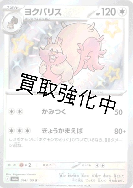 画像1: 【色違い】ヨクバリス  【S】｛314/190｝［sv4a］ (1)