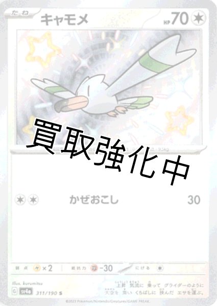 画像1: 【色違い】キャモメ 【S】｛310/190｝［sv4a］ (1)