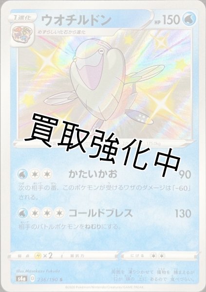 画像1: ウオチルドン【S】{236/190} [s4a] (1)