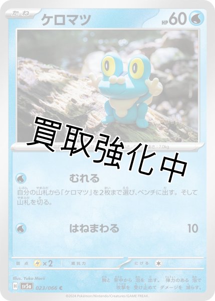 画像1: ケロマツ【C】{023/066} [sv5a] (1)