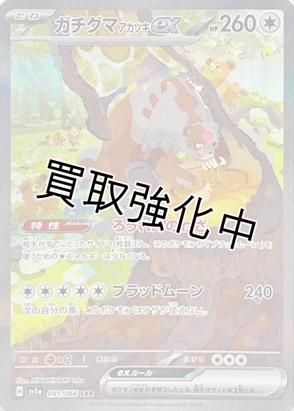 画像1: ガチグマアカツキex【SAR】{091/066} [sv5a] (1)