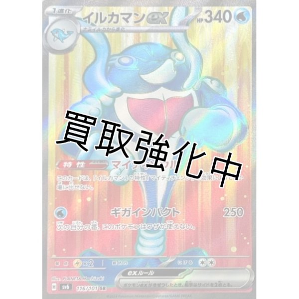 画像1: イルカマンex【SR】{116/101} [sv6] (1)