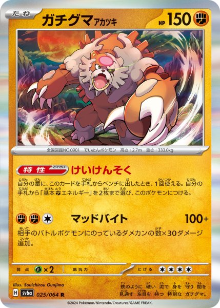 画像1: 【収録不問】ガチグマアカツキ【R】けいけんそく (1)
