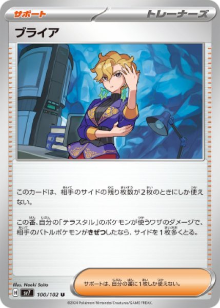 画像1: 【収録不問】ブライア (1)