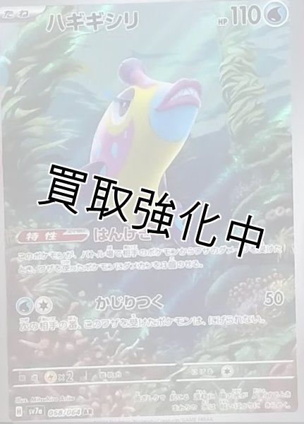 画像1: 【状態B】ハギギシリ【AR】[sv7a](068/064) (1)