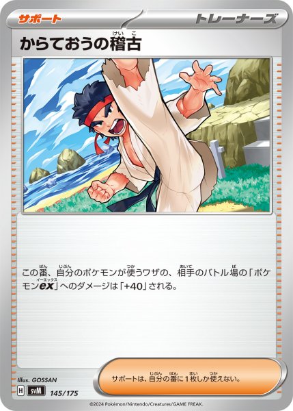 画像1: 【状態B】からておうの稽古【海/崖/左足上げ】｛145/175｝［svM］ (1)