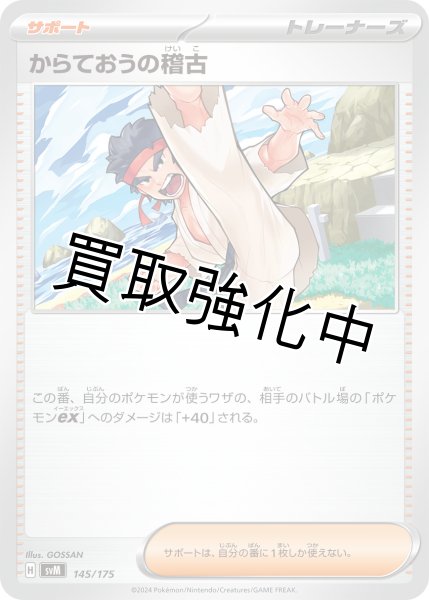 画像1: 【状態B】からておうの稽古【海/崖/左足上げ】｛145/175｝［svM］ (1)