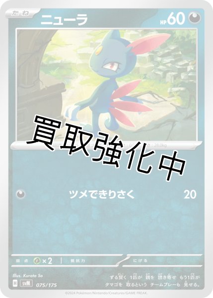画像1: 【状態B】ニューラ【ツメできりさく】｛075/175｝［svM］ (1)