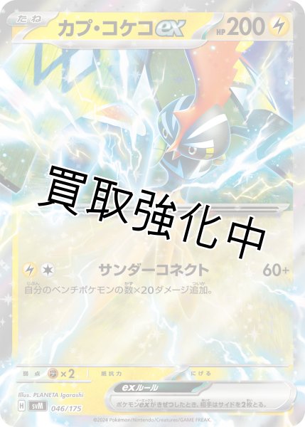 画像1: カプ・コケコex【サンダーコネクト】｛046/175｝［svM］ (1)