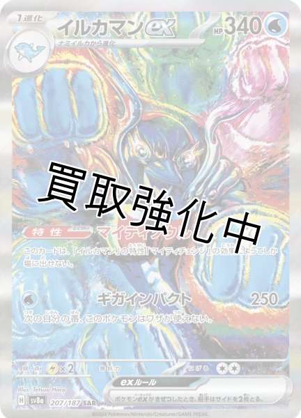 画像1: 【状態A-】 イルカマンex【SAR//】｛207/187｝［SV8a］ (1)