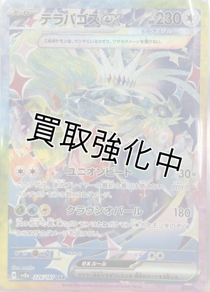 画像1: 【状態B】テラパゴスex【SAR/イラスト違い/】｛226/187｝［SV8a］ (1)