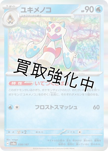 画像1: ・ユキメノコ【いてつくとばり/R仕様/イラスト違い】｛038/187｝［SV8a］ (1)