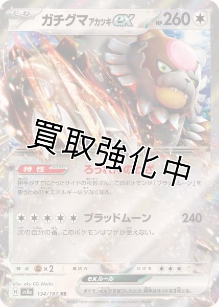 画像1: 【状態B】ガチグマアカツキex【RR】{134/187} [SV8a] (1)