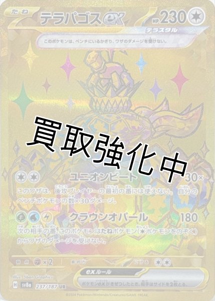 画像1: 【状態B】テラパゴスex【UR】{237/187} [SV8a] (1)