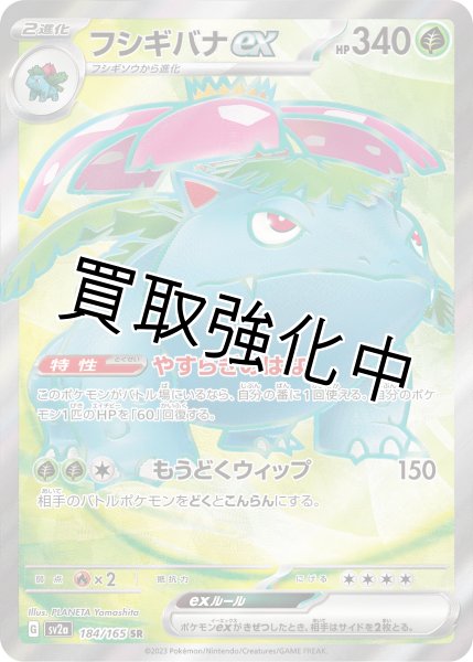 画像1: 【状態B】フシギバナex【SR】{184/165} [SV2a] (1)