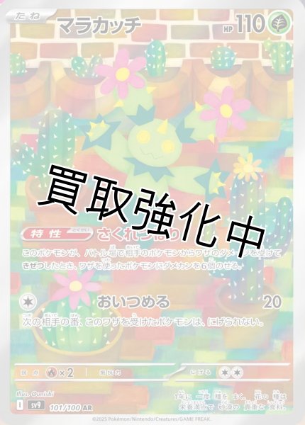 画像1: 【状態B】 マラカッチ【AR】｛101/100｝［SV9］ (1)