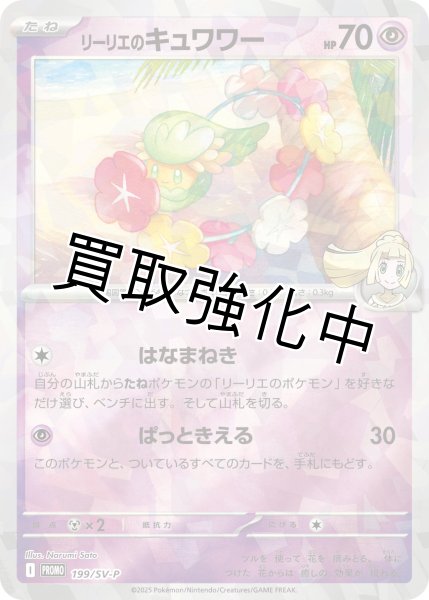 リーリエのキュワワー(未開封)【P】{199/SV-P} [SV-P] - カード
