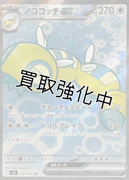 画像1: ノココッチex【SR】{120/100} [SV9] (1)