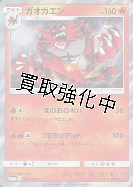 画像1: 【状態B】ガオガエン【P】{018/SM-P} (1)