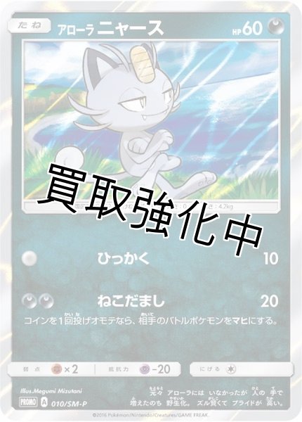 画像1: 【状態B】アローラニャース【P】{010/SM-P (1)