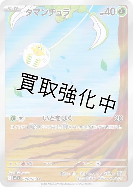 画像1: 【状態B】タマンチュラ【AR】{079/078} (1)